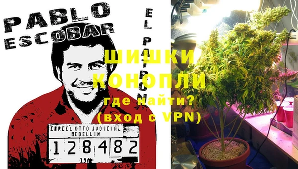 эйфоретик Балахна