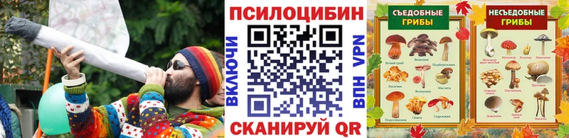 купить наркотики цена  Михайлов  Псилоцибиновые грибы Magic Shrooms 